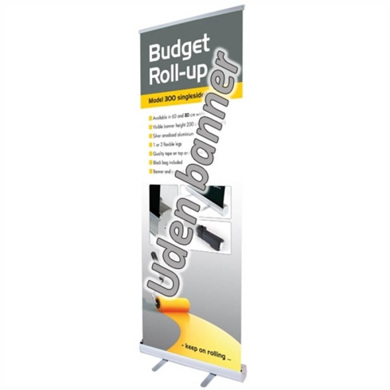 Budgetrollup-30