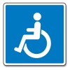 HandicapPSkilt-00